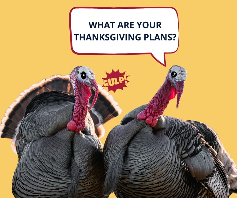 [Sunset Finance] Thankful but Stretched Thin Smart Ways to Budget for Thanksgiving - featured image