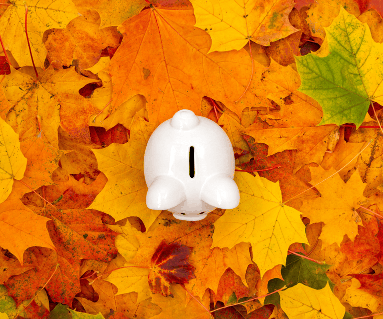 [Sunset Finance] Why Fall Is the Perfect Time to Get Your Finances in Order - featured image